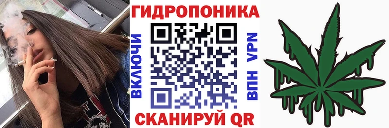Что такое Емва Канабис  A-PVP  АМФ  ГАШ 