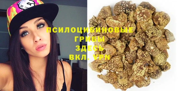 мдпв Волоколамск