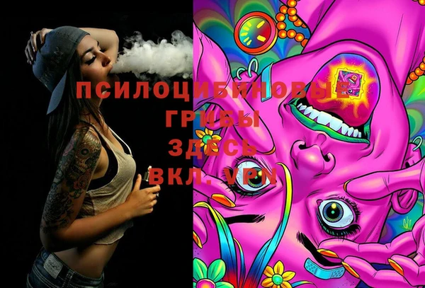 дживик Вязьма