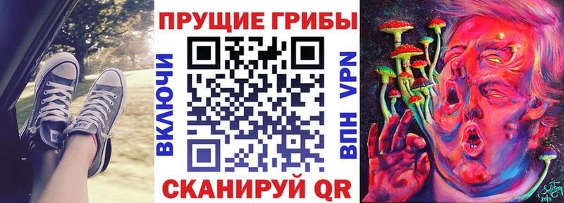 Псилоцибиновые грибы GOLDEN TEACHER  Емва 